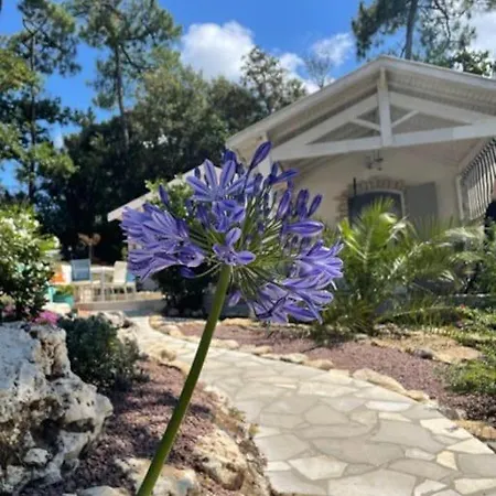 Adorable Petite Maison à 400m De La Mer